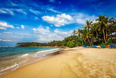 Tropical paradise idyllic beach. mirissa, sri lanka