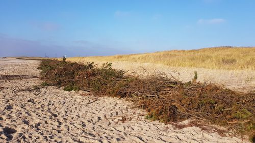 Scenic view of desert against sky