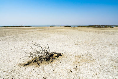 Salt pan near margherita di savoia, apulia, italy