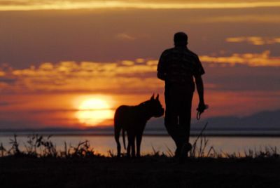 Silhouette man with dog on beach during sunset