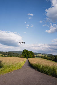 sky