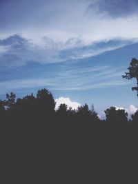 Low angle view of trees against sky