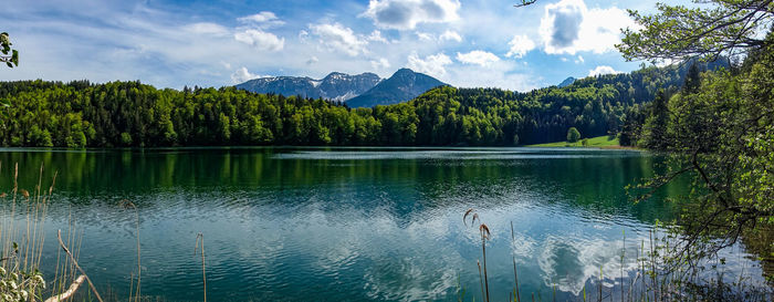 Scenic view of lake by trees against sky