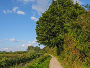 Hiking at the river aa in westphalia