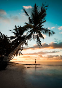 Silhouette palm trees on beach against sky during sunset