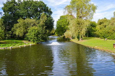 River amidst trees against sky