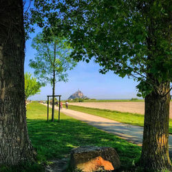 Trees on field by road against sky