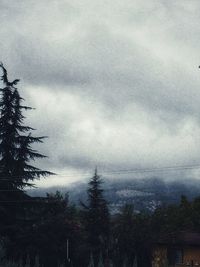 Silhouette trees against sky