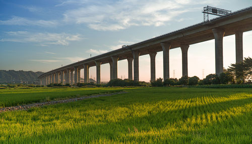 View of bridge on field against sky