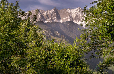 Scenic view of rocky mountains