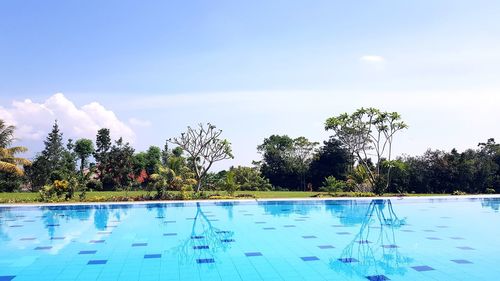 Swimming pool by trees against blue sky