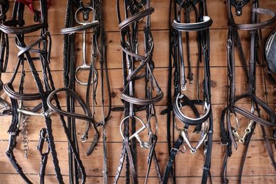 Saddles hanging on wooden wall