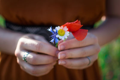 Close-up of hand holding flowering plant