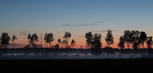 Silhouette trees on landscape against sky during sunset