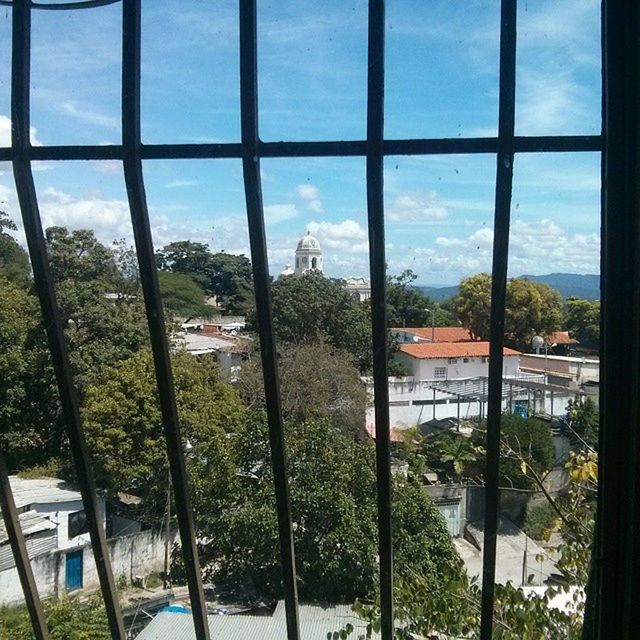 window, architecture, glass - material, built structure, tree, indoors, transparent, building exterior, sky, house, cloud - sky, day, residential structure, residential building, glass, city, cloud, no people, looking through window, growth