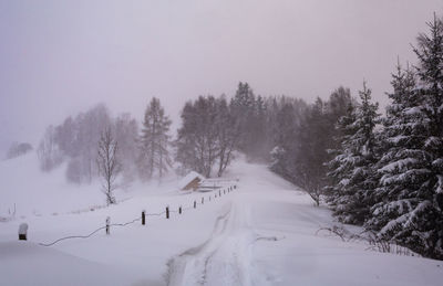 Trees on snow covered land against sky