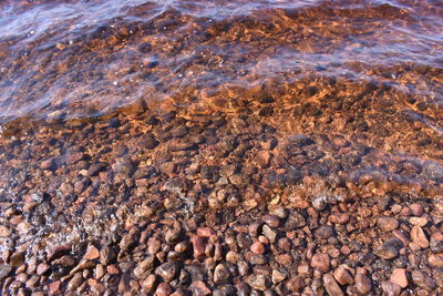 Stones beach lake water and small stones on the beach