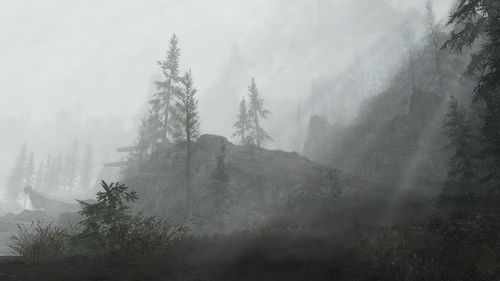 Panoramic shot of trees on mountain against sky