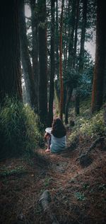 People sitting on tree trunks in forest