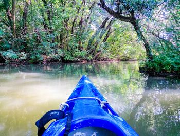 Scenic view of river in forest