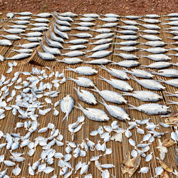 High angle view of fishing net on land