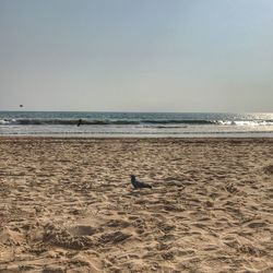Scenic view of beach against clear sky