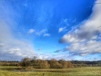 Scenic view of field against sky