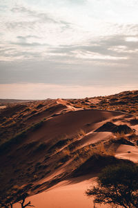 Scenic view of desert against sky