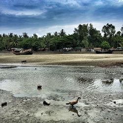 Scenic view of cloudy sky