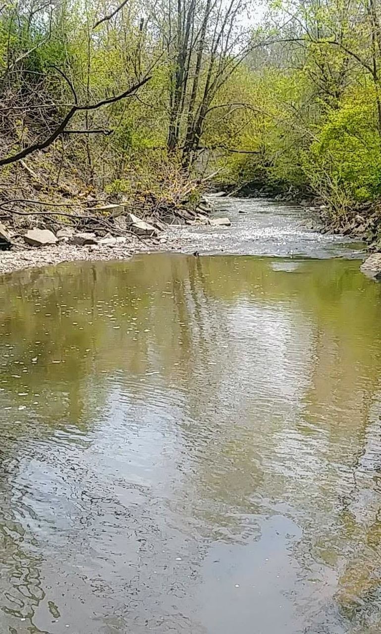 SCENIC VIEW OF LAKE