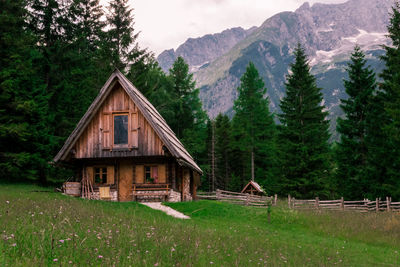 House by trees on mountain