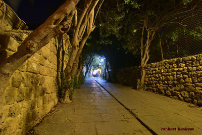 Walkway amidst trees