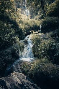 Moody summer view of waterfall/river stream in the forest.