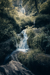 Scenic view of waterfall in forest