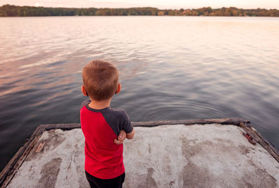 Rear view of boy in lake