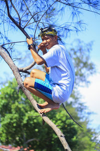 Low angle view of person holding blue tree