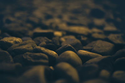 Close-up of pebbles on beach