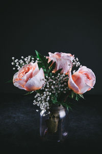 Close-up of rose flower in vase against black background