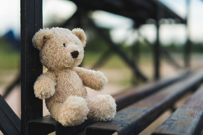 Close-up of teddy bear on bench