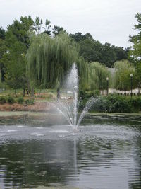 Fountain in lake against trees in forest
