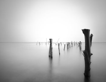 Wooden posts in sea against clear sky