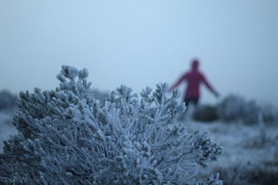 winter
