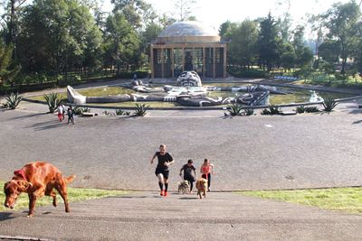 Women in park