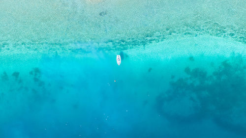 Person swimming in sea