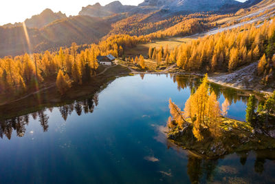 Scenic view of lake in forest during autumn