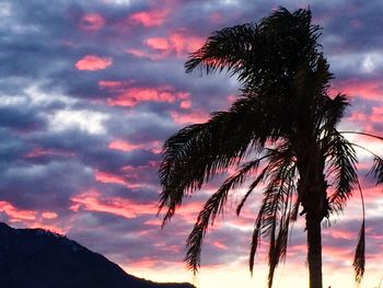 Silhouette palm trees against sky during sunset