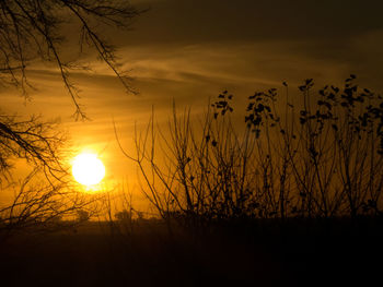 Silhouette plants on field against romantic sky at sunset