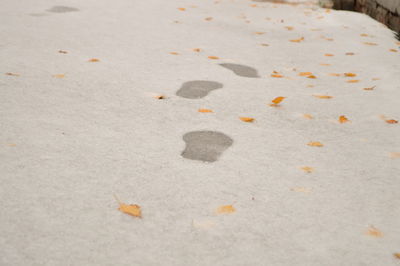 High angle view of sand on beach