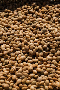 Full frame shot of coffee beans