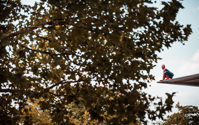 Low angle view of man sitting on tree against sky